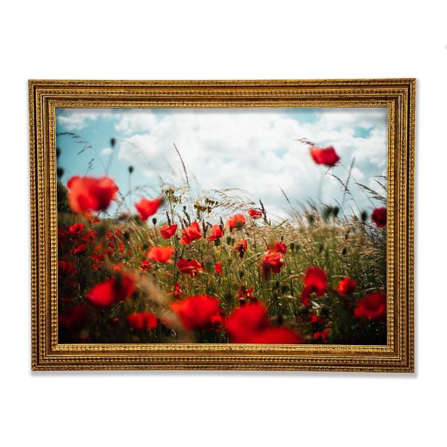 Red Poppies Reaching The Sky - Print Rosalind Wheeler Size: 29.1cm H x 42cm W x 3cm D on Productcaster.