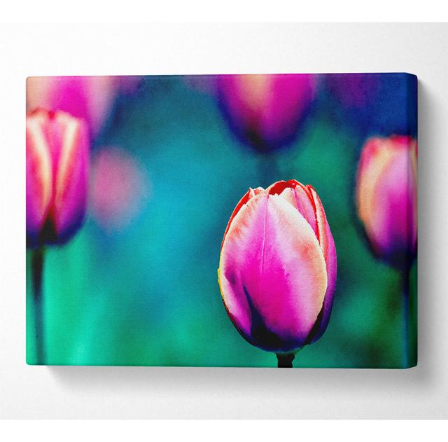 Pink Tulip Field - Wrapped Canvas Art Prints Latitude Run Size: 101.6cm H x 142.2cm W x 10cm D on Productcaster.