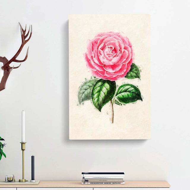 Illustration Of A Pink Garden Rose - Wrapped Canvas Painting East Urban Home Size: 76cm H x 50cm W x 3cm D on Productcaster.