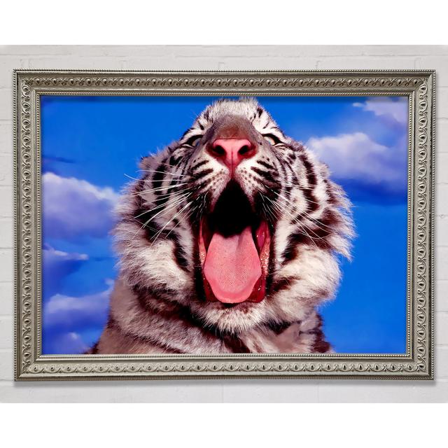 Silver Tiger Yawn - Single Picture Frame Art Prints Ebern Designs Size: 84.1cm H x 118.9cm W on Productcaster.