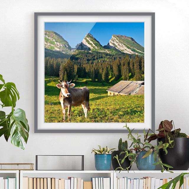 Gerahmtes Poster Swiss Alpine Meadow with Cow East Urban Home Rahmenoptionen: Mattes Grau, Größe: 70 cm H x 70 cm B on Productcaster.