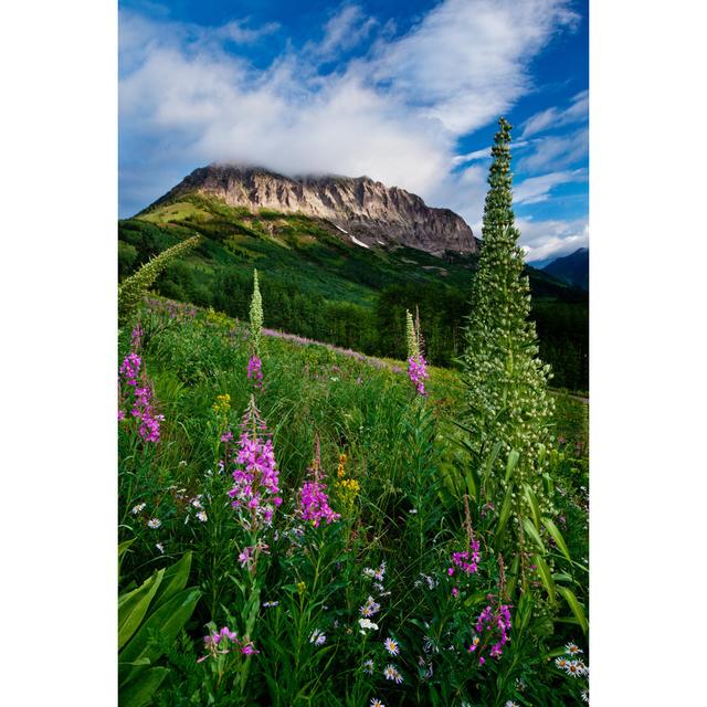 Gothic Mountain - Wrapped Canvas Print 17 Stories Size: 91cm H x 61cm W on Productcaster.