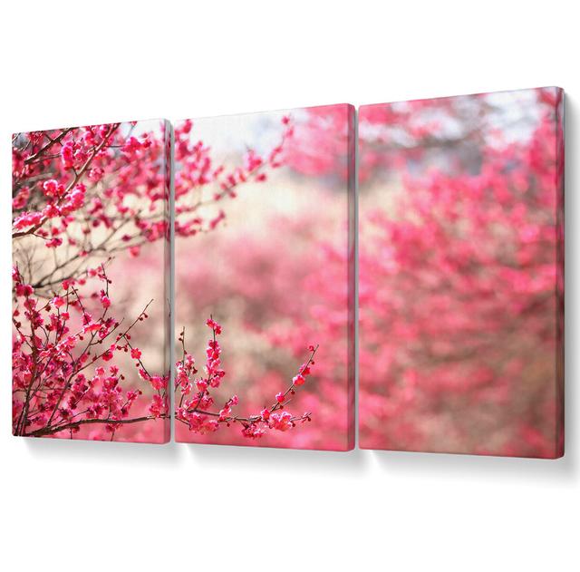 Spring Signs - 3 Piece Wrapped Canvas Graphic Art Ebern Designs Size: 101.6cm H x 203cm W on Productcaster.