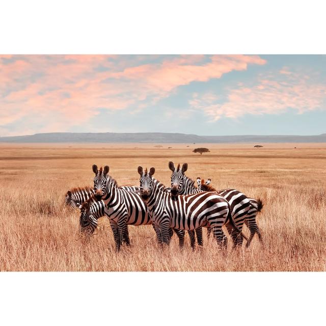 Wild African Zebras In The Serengeti National Park. Wild Life Of Africa. - Wrapped Canvas Print Ebern Designs Size: 51cm H x 76cm W on Productcaster.