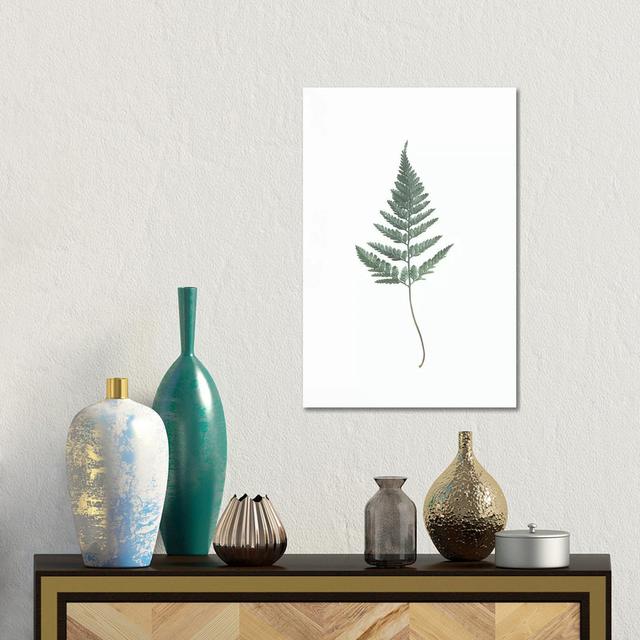 Fern by Sisi & Seb - Gallery-Wrapped Canvas Giclée on Canvas Brambly Cottage Size: 45.72cm H x 30.48cm W x 1.905cm D, Format: Canvas on Productcaster.