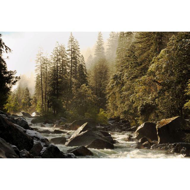 Merced River - Print Alpen Home Size: 30cm H x 46cm W x 3.8cm D on Productcaster.