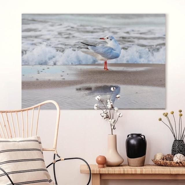 Seagull on the Beach in Front of the Sea Art Print on Canvas Highland Dunes Size: 40cm H x 60cm W, Format: 260g/m² canvas on Productcaster.