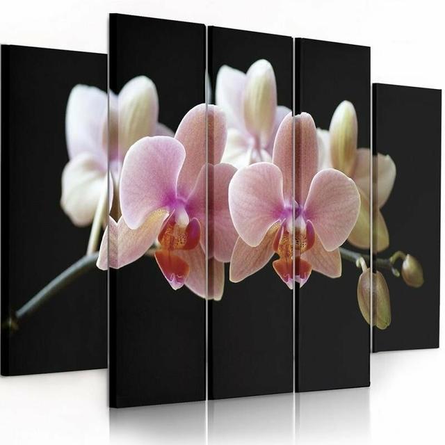 A Pink Orchid - 5 Piece Photographic Print Set on Canvas Brayden Studio Size: 120cm H x 250cm W on Productcaster.