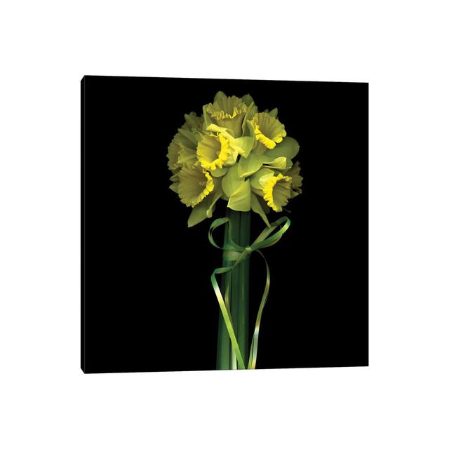 Yellow Daffodil and Ribbon II by Magda Indigo - Wrapped Canvas Painting Latitude Run Size: 45.72cm H x 45.72cm W x 1.9cm D on Productcaster.