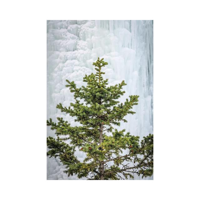 Pine at the Frozen Waterfall by Nik Rave - Wrapped Canvas Giclée ClassicLiving Size: 30.48cm H x 20.32cm W on Productcaster.