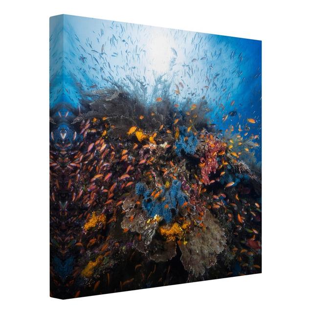 Lagoon with Fish - Wrapped Canvas Photograph Highland Dunes Size: 40cm H x 40cm W on Productcaster.