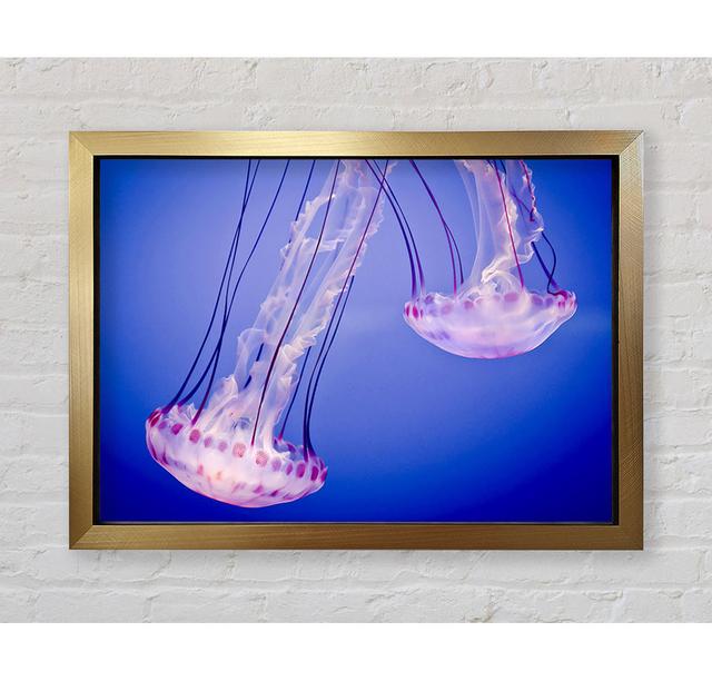 Pink Jellyfish - Single Picture Frame Art Prints Bright Star Size: 100cm H x 141.4cm W x 3.4cm D on Productcaster.