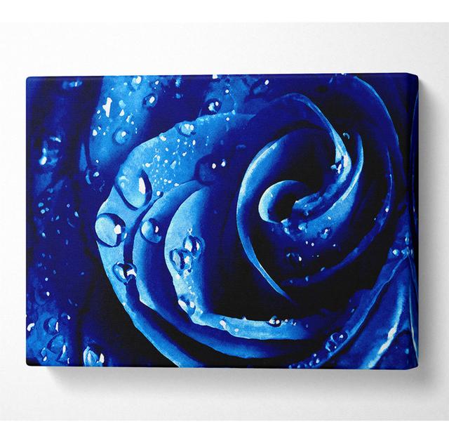 Wet Drops Blue Rose - Wrapped Canvas Art Prints ModernMoments Größe: 81 cm H x 121,9 cm B x 10 cm T on Productcaster.