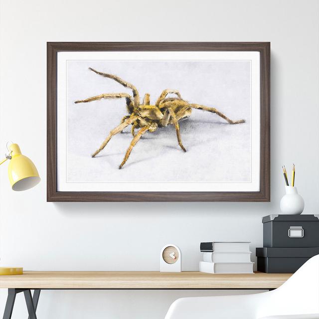 Tarantula Spider - Picture Frame Graphic Art East Urban Home Frame Option: Walnut, Size: 48cm H x 65cm W x 2cm D on Productcaster.