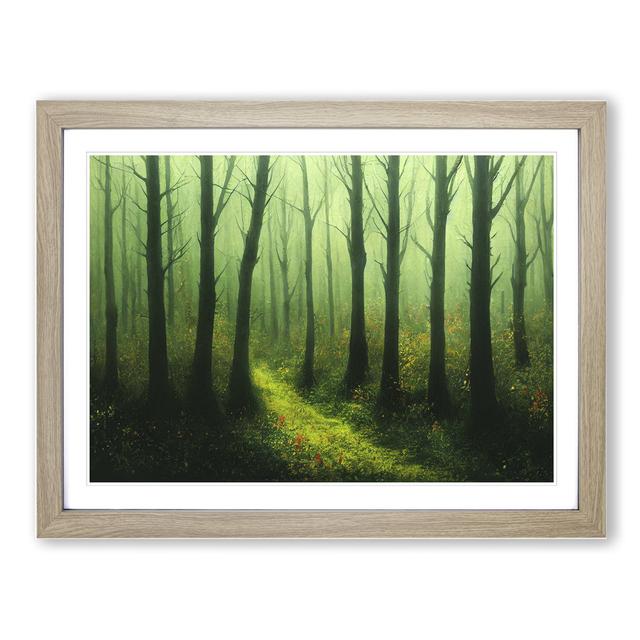 Hypnotic Spring Forest - Single Picture Frame Print Alpen Home Frame Colour: Oak, Size: 46cm H x 64cm W x 2cm D on Productcaster.