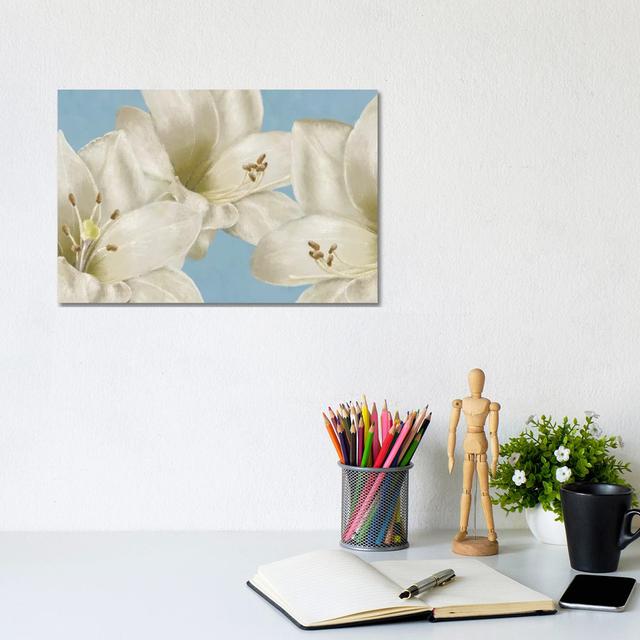 White Amaryllis III by Linda Wood - Wrapped Canvas Gallery-Wrapped Canvas Giclée ClassicLiving Size: 20.32cm H x 30.48cm W x 1.91cm D on Productcaster.