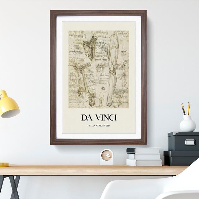 Human Anatomy Vol.7 by Leonardo Da Vinci - Picture Frame Drawing East Urban Home Size: 48cm H x 36cm W x 2cm D, Frame Option: Walnut Framed on Productcaster.