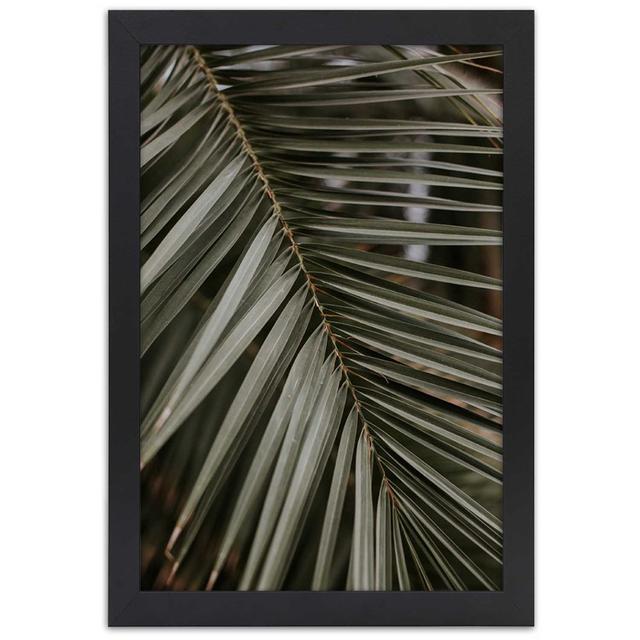 Tropical Palm Leaf - Picture Frame Photograph 17 Stories Size: 100cm H x 70cm W x 2cm D on Productcaster.