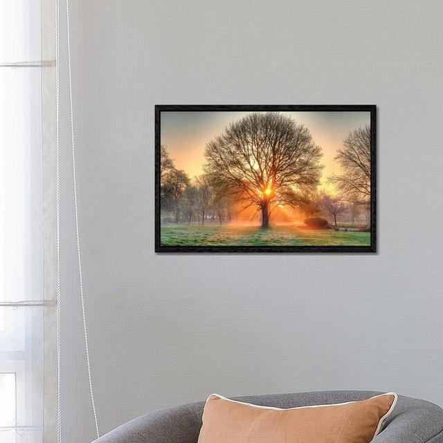 Basking In The Glow Ivy Bronx Size: 45.72cm H x 66.04cm W x 3.82cm D, Format: Black Framed on Productcaster.