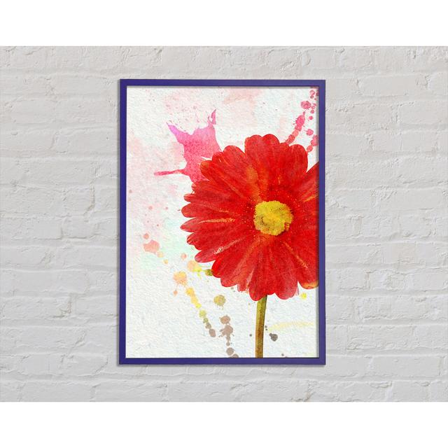 Gerbera Splash - Single Picture Frame Art Prints Bright Star Size: 42cm H x 29.7cm W x 2cm D on Productcaster.