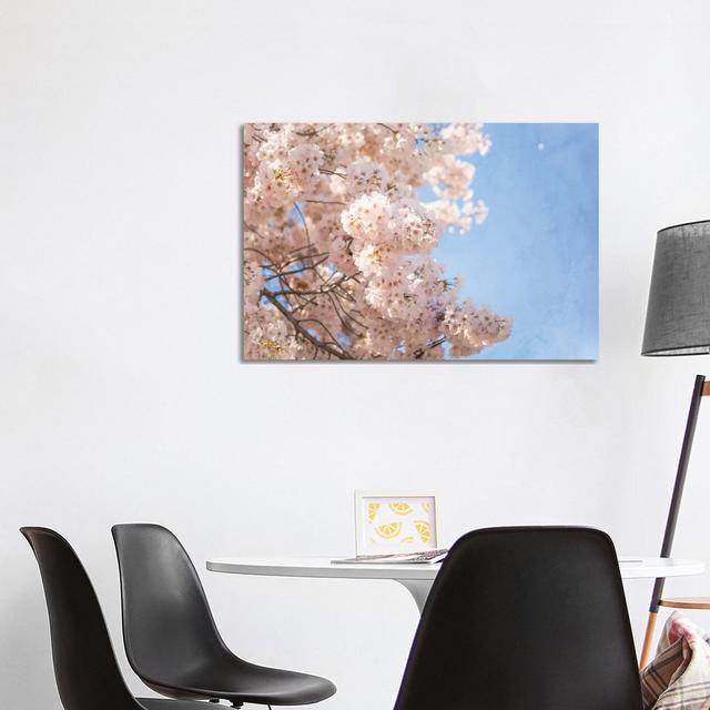 Cherry Blossoms by Ann Hudec - Wrapped Canvas Print Rosalind Wheeler Size: 66.04cm H x 101.6cm W x 3.81cm D on Productcaster.