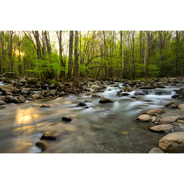 Morning Sunshine I by Danny Head - Wrapped Canvas Photograph Union Rustic Size: 51cm H x 76cm W on Productcaster.