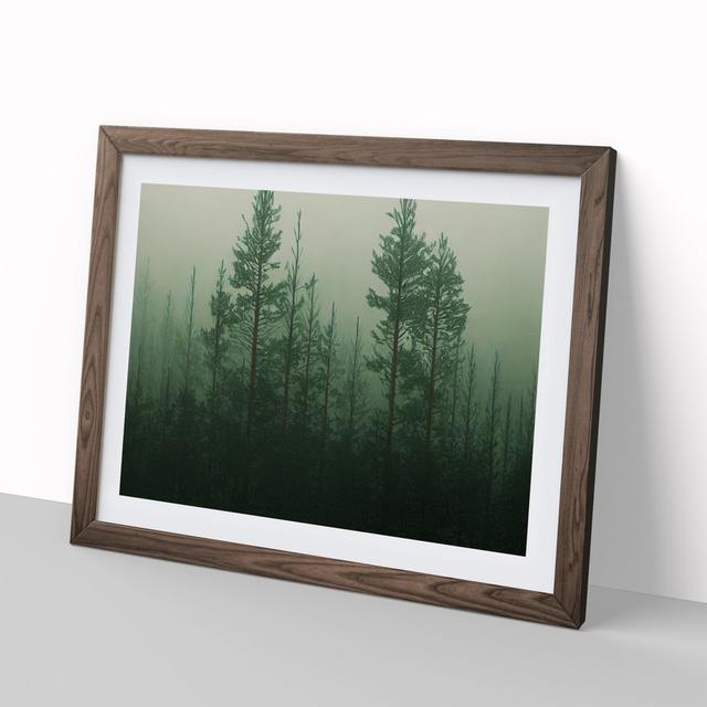 Fabulous Pine Tree Forest - Picture Frame Painting Alpen Home Size: 46cm H x 64cm W x 2cm D, Frame Colour: Walnut on Productcaster.