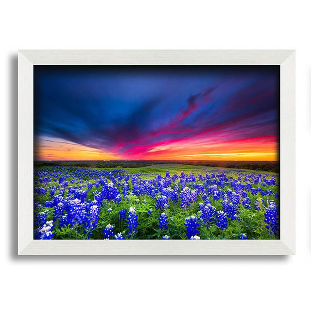 Pevensie Vibrant Skies Above Blue Flowers - Single Picture Frame Art Prints Latitude Run Size: 21cm H x 29.7cm W x 10cm D on Productcaster.