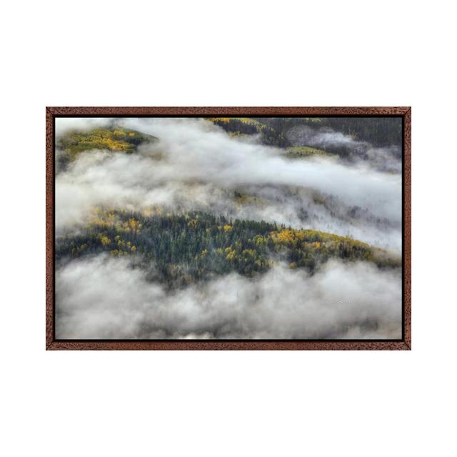 Aspen Forest In The Clouds by Bill Sherrell - Gallery-Wrapped Canvas Giclée on Canvas Alpen Home Size: 45.72cm H x 66.04cm W x 3.81cm D, Format: Class on Productcaster.