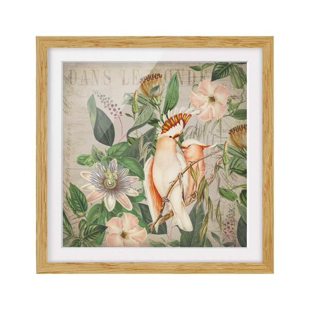 Colonial Style Collage - Pink Cockatoo - Picture Frame Graphic Art Rosalind Wheeler Frame Option: Brown, Size: 50cm H x 50cm W x 2cm D on Productcaster.