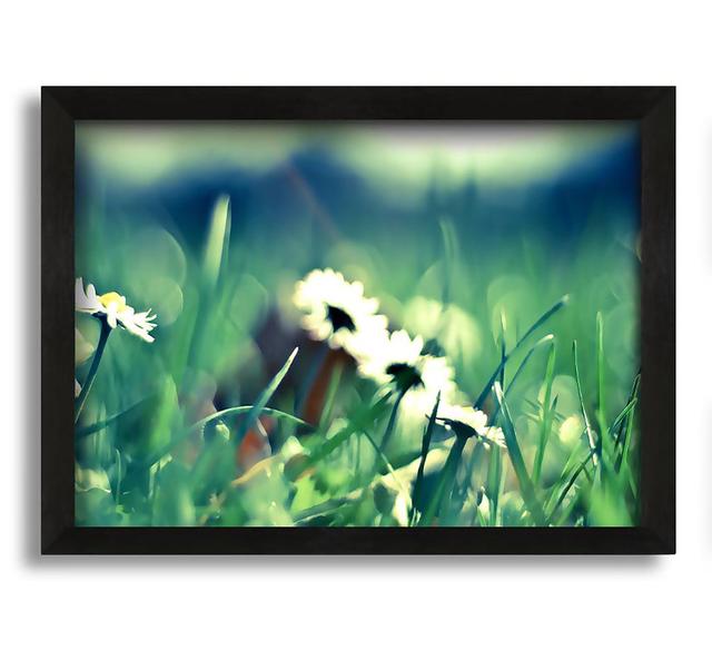 Daisies and Grass - Picture Frame Graphic Art on Canvas Ebern Designs on Productcaster.