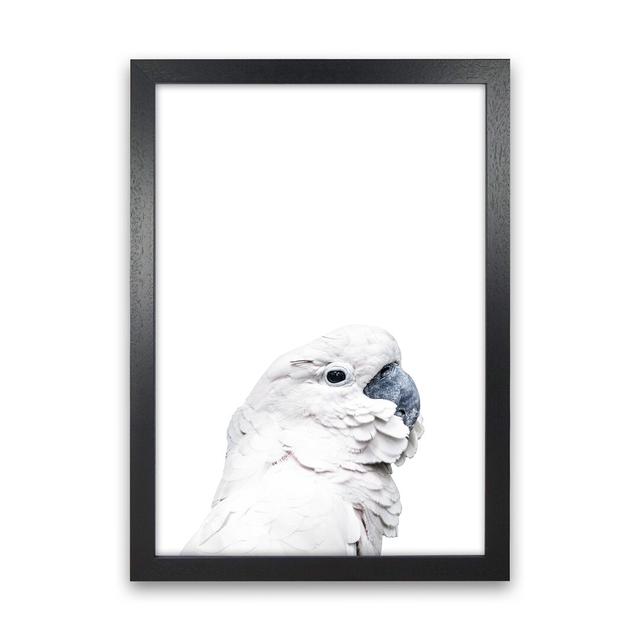 White Cockatoo by Victoria Frost - Print 17 Stories Size: 46cm H x 34cm W x 3cm D, Format: Black Framed on Productcaster.