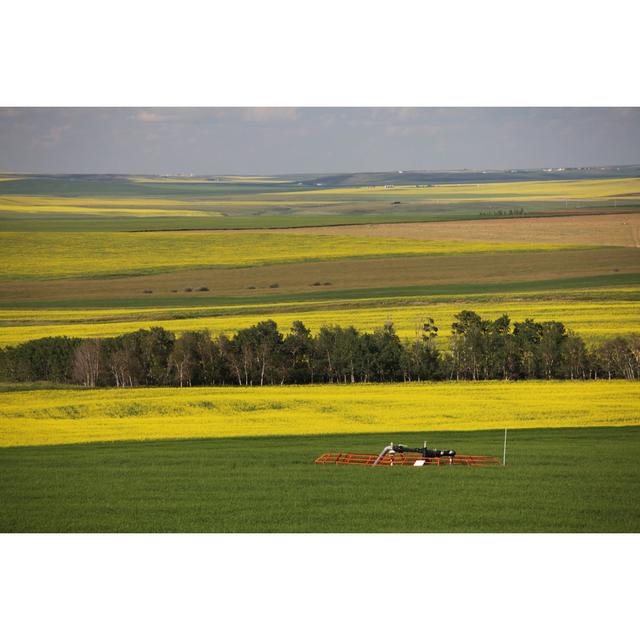 Canadian Prairie by ImagineGolf - No Frame Art Prints on Canvas Alpen Home Size: 61cm H x 91cm W on Productcaster.