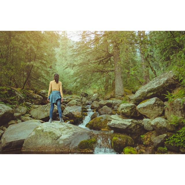 Young Woman Enjoying Fresh Air by Gawrav - No Frame Art Prints on Canvas Alpen Home Size: 51cm H x 76cm W on Productcaster.