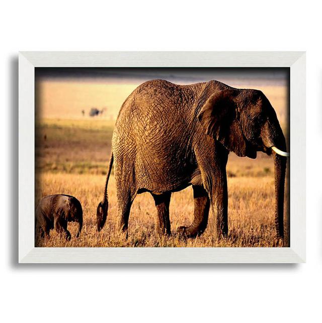 Elephant Mother And Baby - Single Picture Frame Art Prints Ebern Designs Size: 21cm H x 29.7cm W x 10cm D, Format: White Framed Paper on Productcaster.