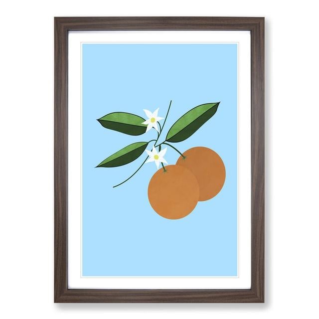 Orange Blossom Blue V2 - Picture Frame Graphic Art East Urban Home Size: 65cm H x 48cm W x 2cm D, Frame Option: Walnut Framed on Productcaster.