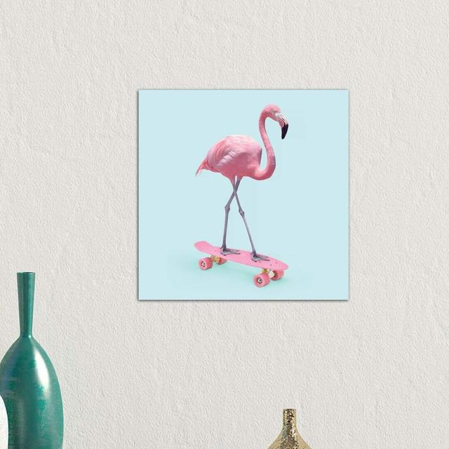 Skate Flamingo by Paul Fuentes - Graphic Art Print on Canvas Happy Larry Frame Option: Brown Framed, Size: 66.04cm H x 66.04cm W x 3.81cm D on Productcaster.