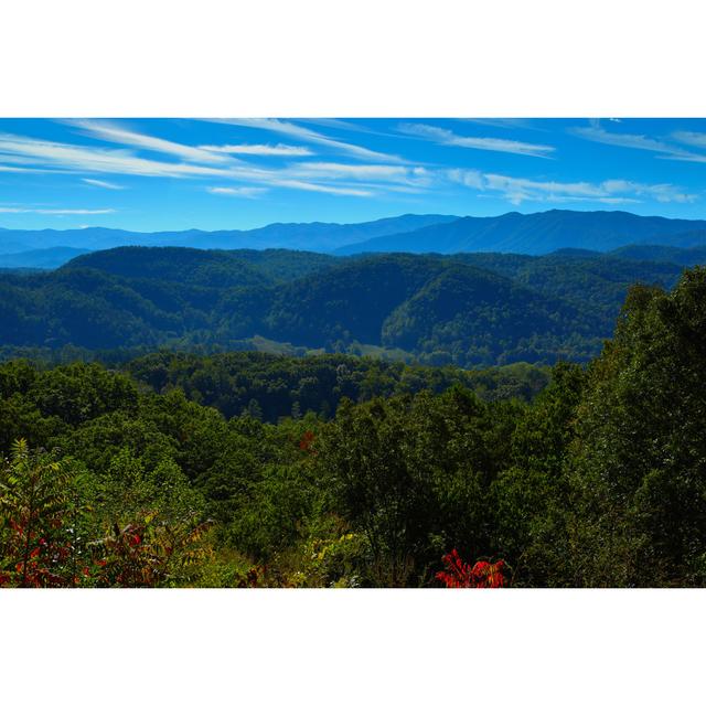 Amesti Scenic Foothills Parkway #3 by Chimperil59 - Wrapped Canvas Photograph Alpen Home Size: 51cm H x 76cm W x 3.8cm D on Productcaster.