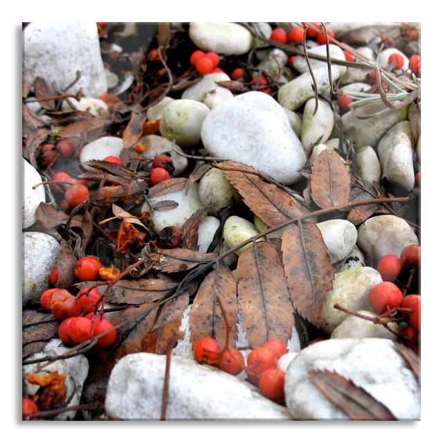 Autumn And Berries - No Frame Print on Glass The Seasonal Aisle Size: 70cm H x 70cm W x 0.4cm D on Productcaster.