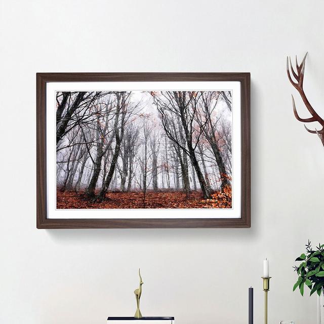 Never Ending Forest in Italy - Picture Frame Painting Print East Urban Home Frame Option: Walnut Framed, Size: 27cm H x 36cm W x 2cm D on Productcaster.