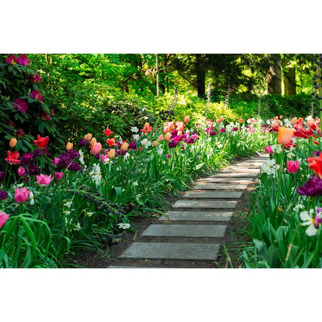 Spring Tulips Flowerbeds - Wrapped Canvas Photograph Ebern Designs Size: 61cm H x 91cm W x 3.8cm D on Productcaster.