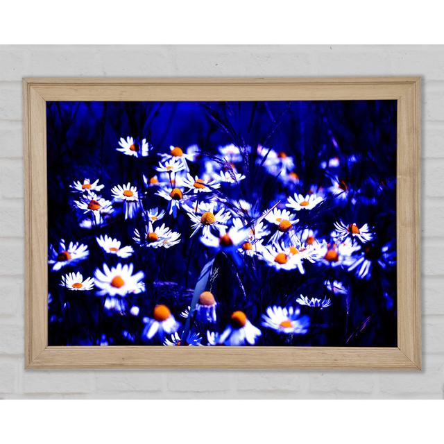 Chamomile Flowers Framed Print Ebern Designs Size: 59.7cm H x 84.1cm W on Productcaster.