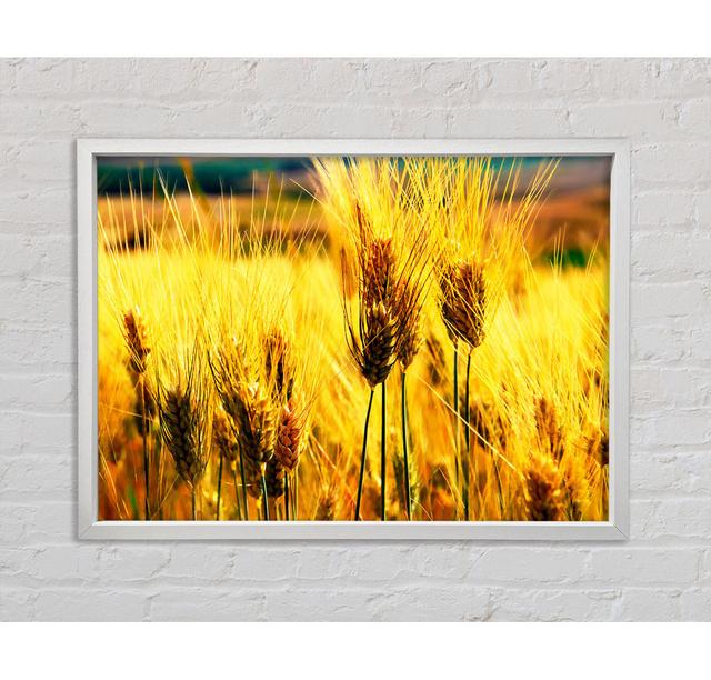 Wheat Field Near The Forest Framed Print Bright Star Size: 84.1cm H x 118.9cm W on Productcaster.