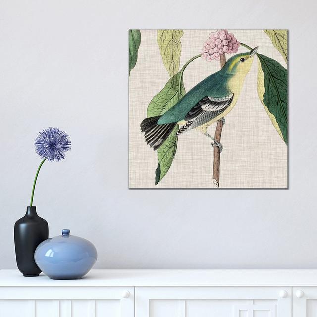 Avian Crop IV by John James Audubon - Wrapped Canvas Painting 17 Stories Size: 45.72cm H x 45.72cm W x 1.91cm D on Productcaster.