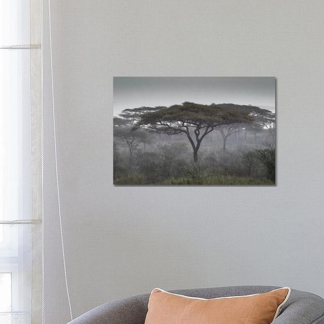 Africa, Tanzania, Ngorongoro Conservation Area. Rain and Trees on Savannah by Jaynes Gallery - Wrapped Canvas Painting Alpen Home Size: 45.72cm H x 66 on Productcaster.