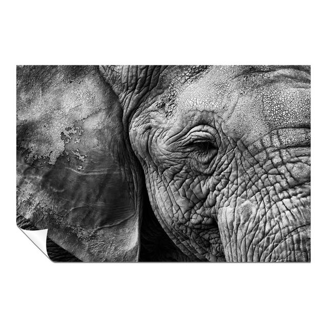 Panther Print Fine Art Prints Black & White Old Elephant Close Up Artistic Unframed Poster, Pictures For Home Walls, Bedroom, Living Room & Bathroom D on Productcaster.