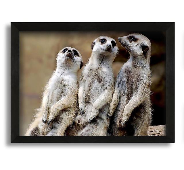 Trio of Leaning Meerkats - Picture Frame Photograph on Canvas Latitude Run Size: 30cm H x 42cm W x 10cm D on Productcaster.