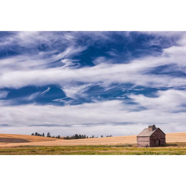 Farm & Field I by PHBurchett - Wrapped Canvas Photograph August Grove Size: 30cm H x 46cm W on Productcaster.