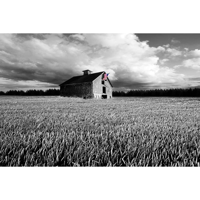 Flags of Our Farmers XIII by James McLoughlin - Wrapped Canvas Photograph Print Blue Elephant Size: 20cm H x 30cm W on Productcaster.