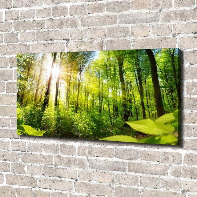 Forest in the Sun - Unframed Art Prints on Canvas Union Rustic on Productcaster.